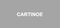 cartinoe