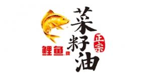 鲤鱼