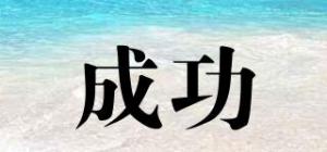 成功