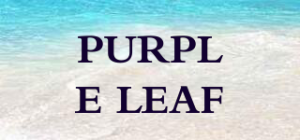 PURPLE LEAF