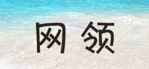 网领