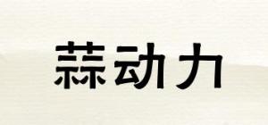 蒜动力