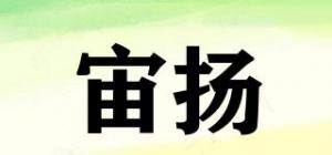 宙扬