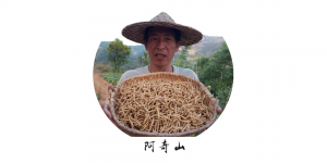 阿奇山