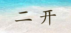 二开