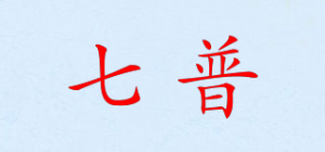 七普