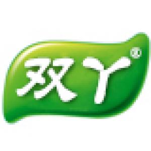 双丫