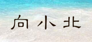 向小北