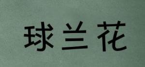 球兰花