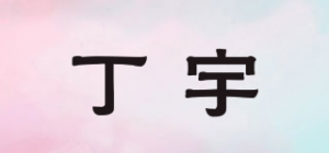 丁宇