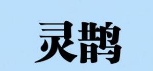 灵鹊