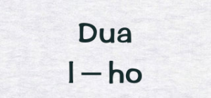 Dual－ho