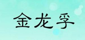 金龙孚