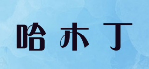 哈木丁