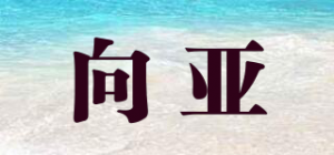 向亚