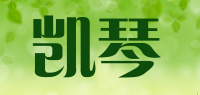 凯琴
