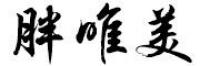 胖唯美