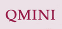 QMINI