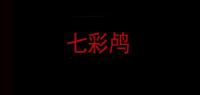 七彩鸬童装