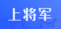 上将军
