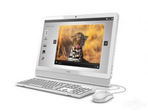 戴尔灵越24 3000(3455-D1448WT)