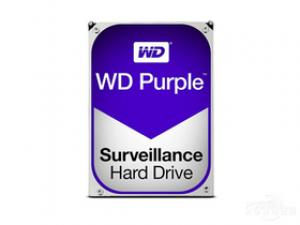 WD Purple 10T