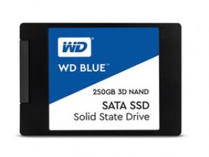 西部数据 WDS250G2B0A