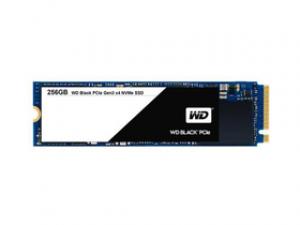西部数据 WDS256G1X0C-00ENX0