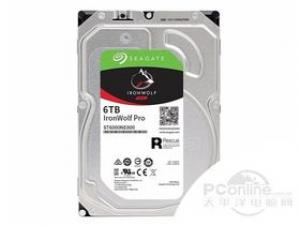 希捷酷狼PRO 6TB 7200转 256MB SATA3(ST6000NE000)
