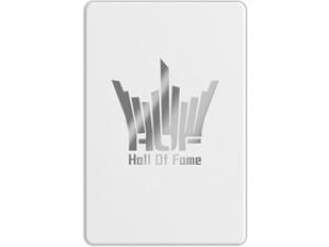 影驰名人堂HOF 1TB