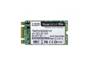 十铨科技M.2 2242 256G