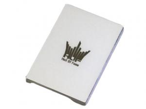 影驰HOF LED SSD 256G