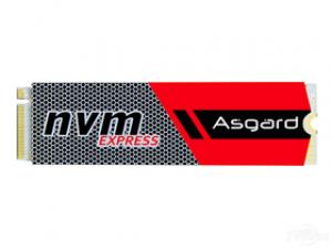 阿斯加特AN系列 256G M.2