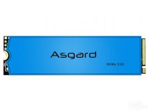 阿斯加特AN3 1TB NVMe M.2 SSD