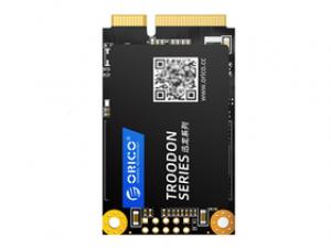 ORICO迅龙M200 256GB mSATA SSD