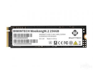 佰微WooKong 256GB M.2 SSD