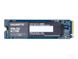 技嘉AORUS 256GB M.2 SSD