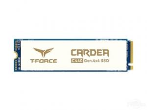 十铨科技C440冰雪女神 1TB M.2 SSD