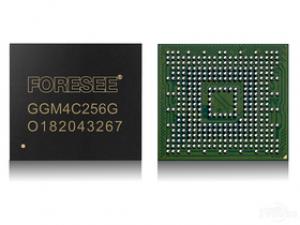 FORESEE P900 BGA NVMe SSD