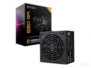 EVGA 650 GA