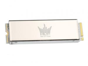 影驰名人堂HOF Pro 20 2TB M.2 SSD