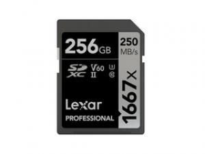 雷克沙SD-1667X 256G