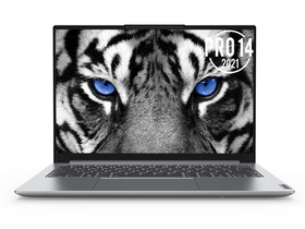 联想小新Pro 14 2021(酷睿i5-11300H/16GB/512GB)