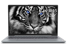 联想小新15 2021(酷睿i5-1135G7/16GB/512GB/MX450)