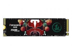 梵想S500PRO 1TB M.2 SSD