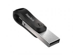 闪迪欢欣i享(256GB)