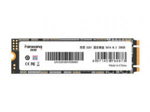 梵想S201 256GB M.2 SSD