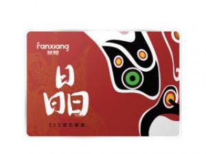 梵想S100 256GB SATA3.0 SSD