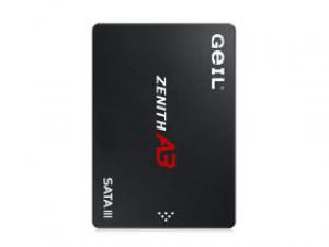 金邦A3 1TB SATA3.0 SSD