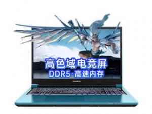 七彩虹将星X15-AT(酷睿i5-13500HX/16GB/512GB/RTX4060)